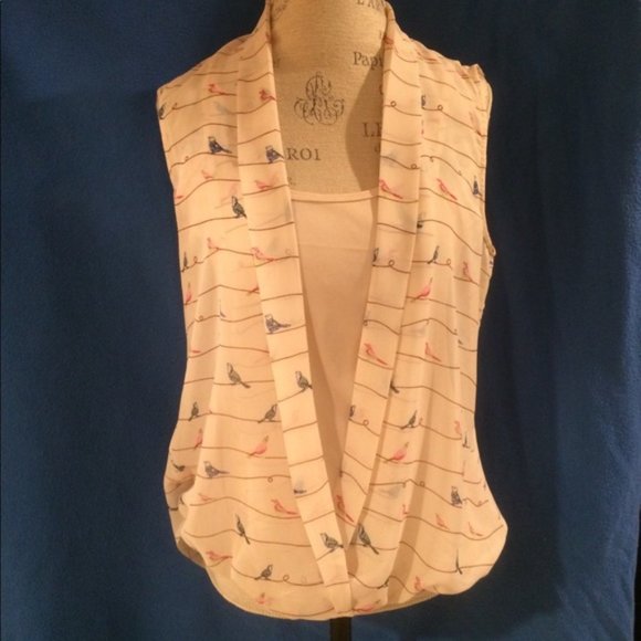 AS IS -High Low Camisole & Sheer Top- Small Hole - Picture 5 of 13